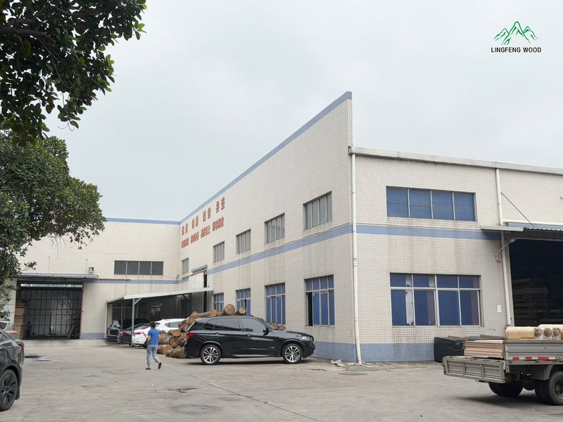 Dongguan Lingfeng Wood Industry Co., Ltd. dây chuyền sản xuất của nhà sản xuất