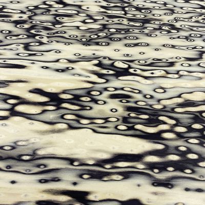 Veneer gỗ kỹ thuật bền màu sắc tự nhiên cho cửa ra vào