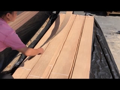 Vỏ gỗ sồi trắng Mỹ cắt một phần tư