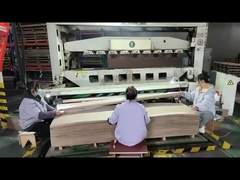 Nhà máy cắt veneer kỹ thuật